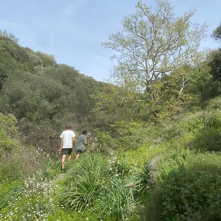 Guezelbahce Yemek Atoelyesi